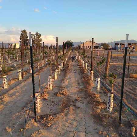 Black Star Ranch Vineyard Pahrump Esterno foto